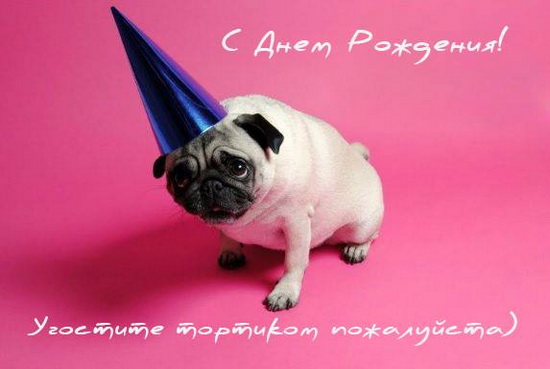 Прикольные открытки женщине на день рождения. Поздравительные открытки для же...