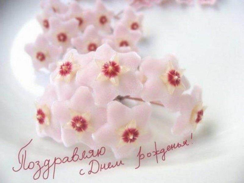 Открытки и картинки с надписями и цветами на день рождения любимой женщине