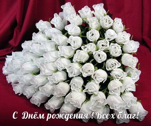 Без названия