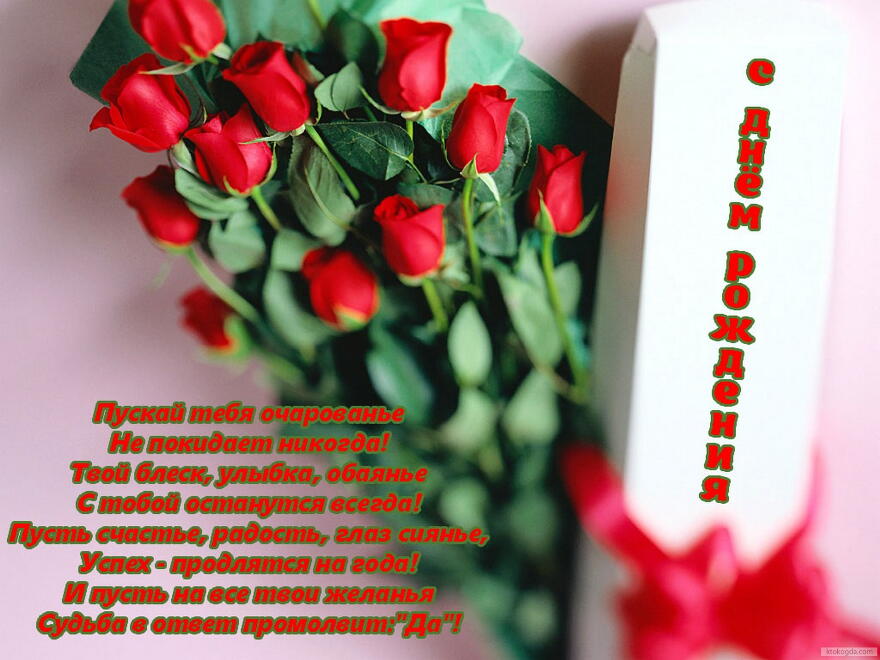 Без названия