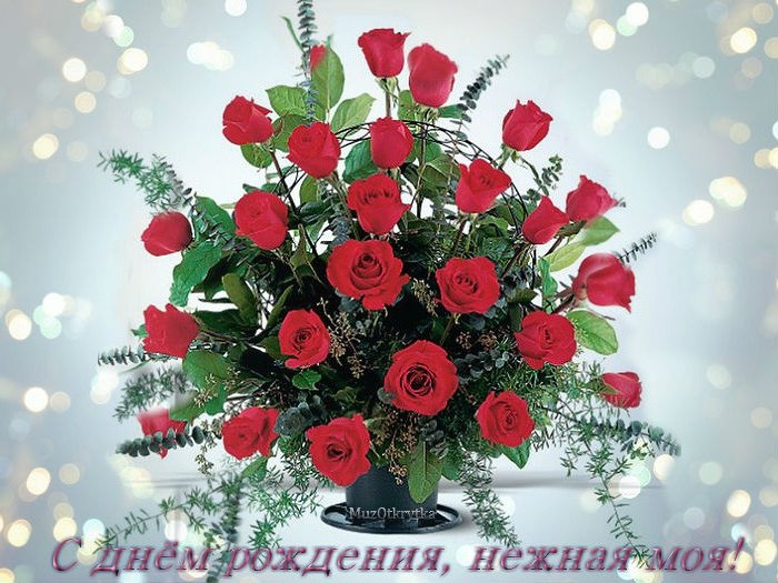 Без названия