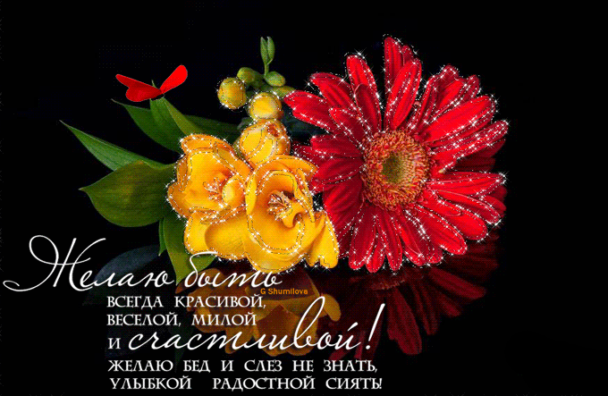 Анимационные открытки для женщин на день рождения скачать бесплатно