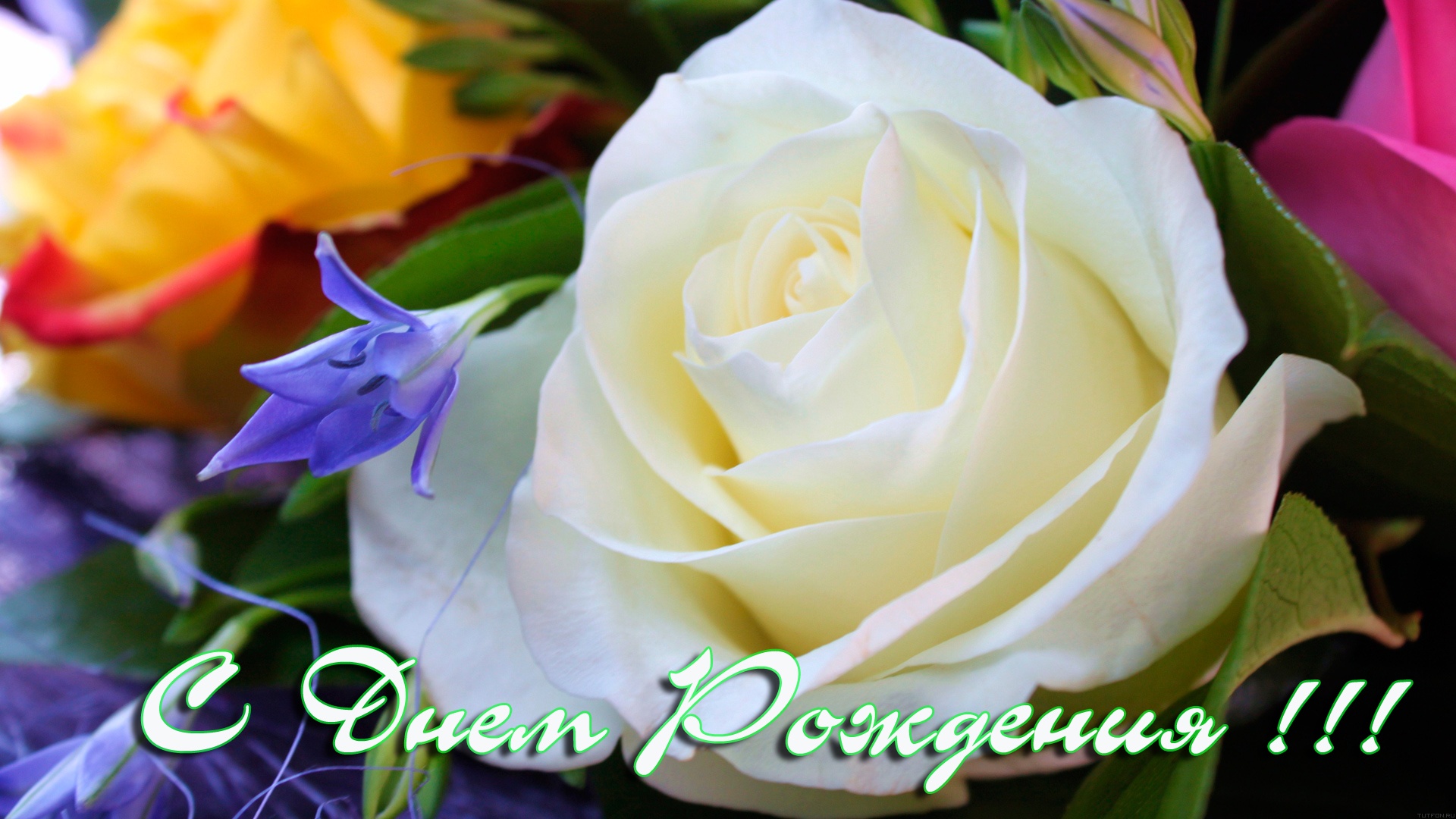 Без названия