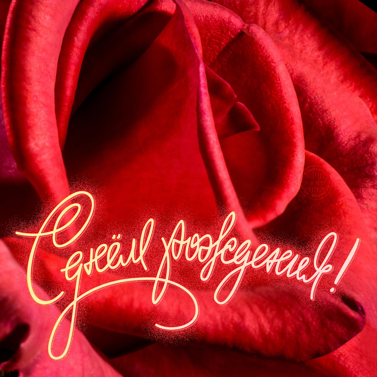 Без названия