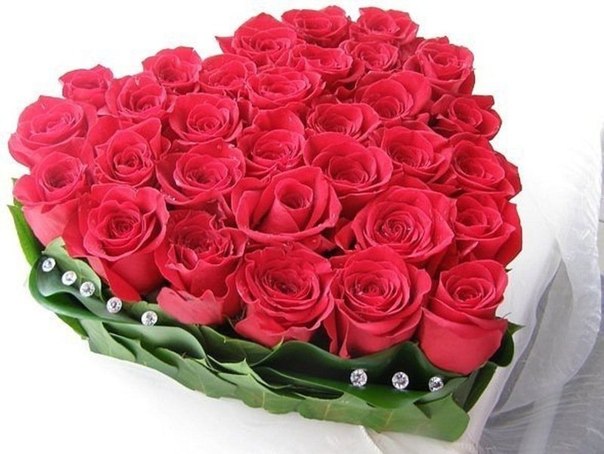 Без названия