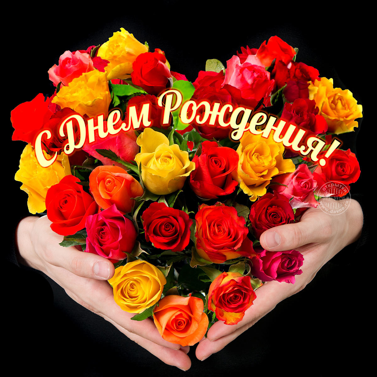 Без названия