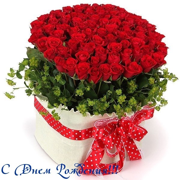 Открытки с розами на день рождения женщине