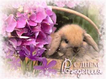 Анимационные открытки с днем рождения женщине Анимационные открытки для женщин на день рождения скачать бесплатно