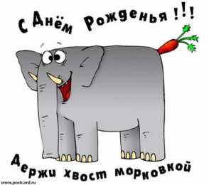  Прикольные открытки на день рождения подруге